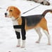 POOCH-LABS Black Large Pet Leg Support