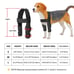 POOCH-LABS Black Large Pet Leg Support