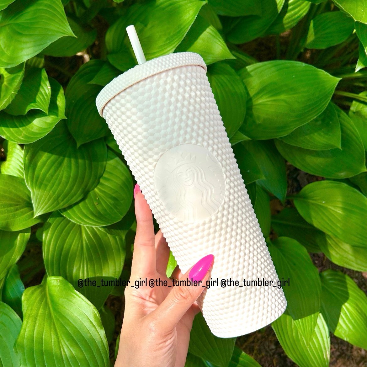 Starbucks China vanilla white studded