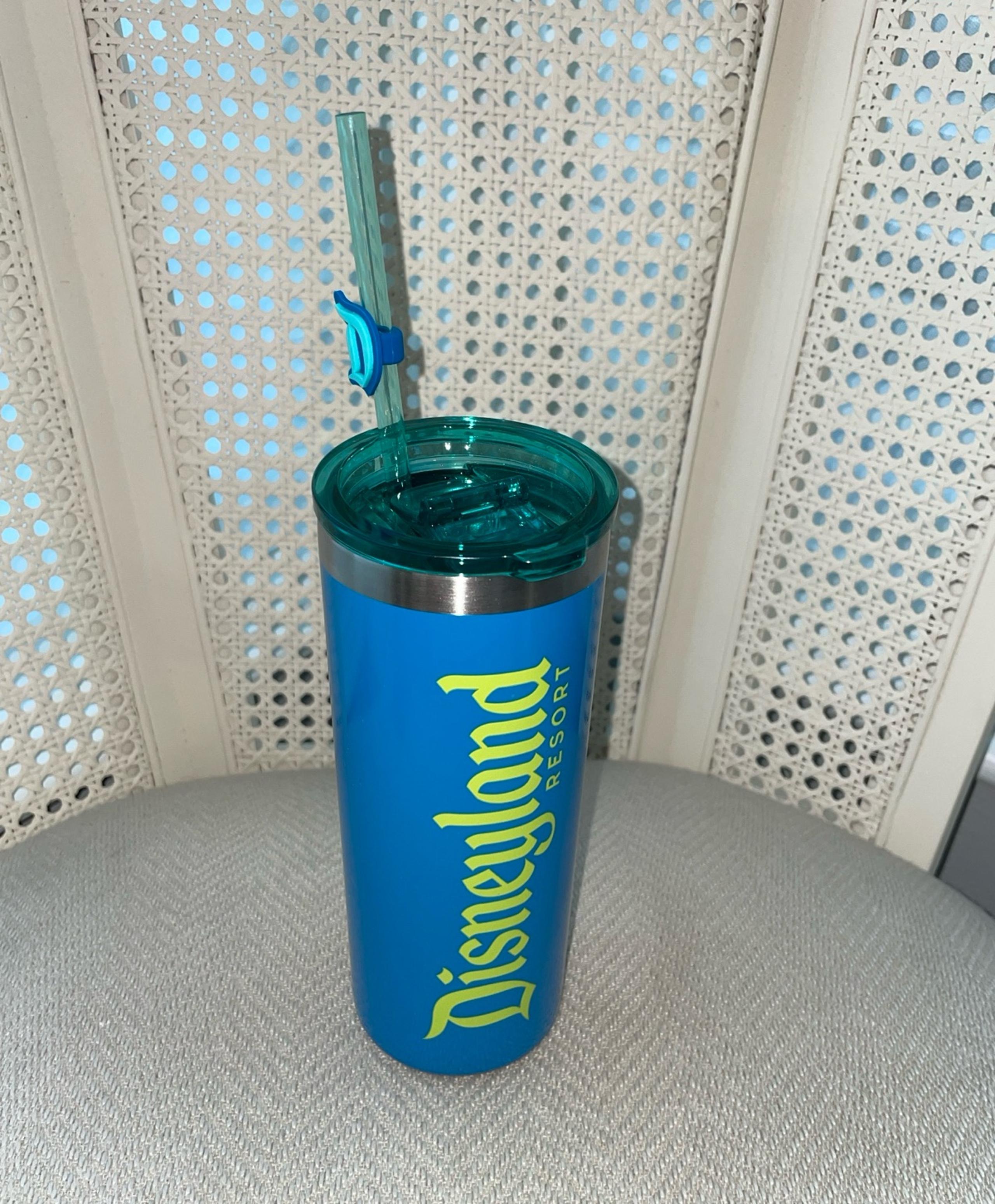New Disneyland Tumbler Insulated cup with straw Disney Mug