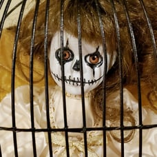 Cagey Kayla Horrordoll