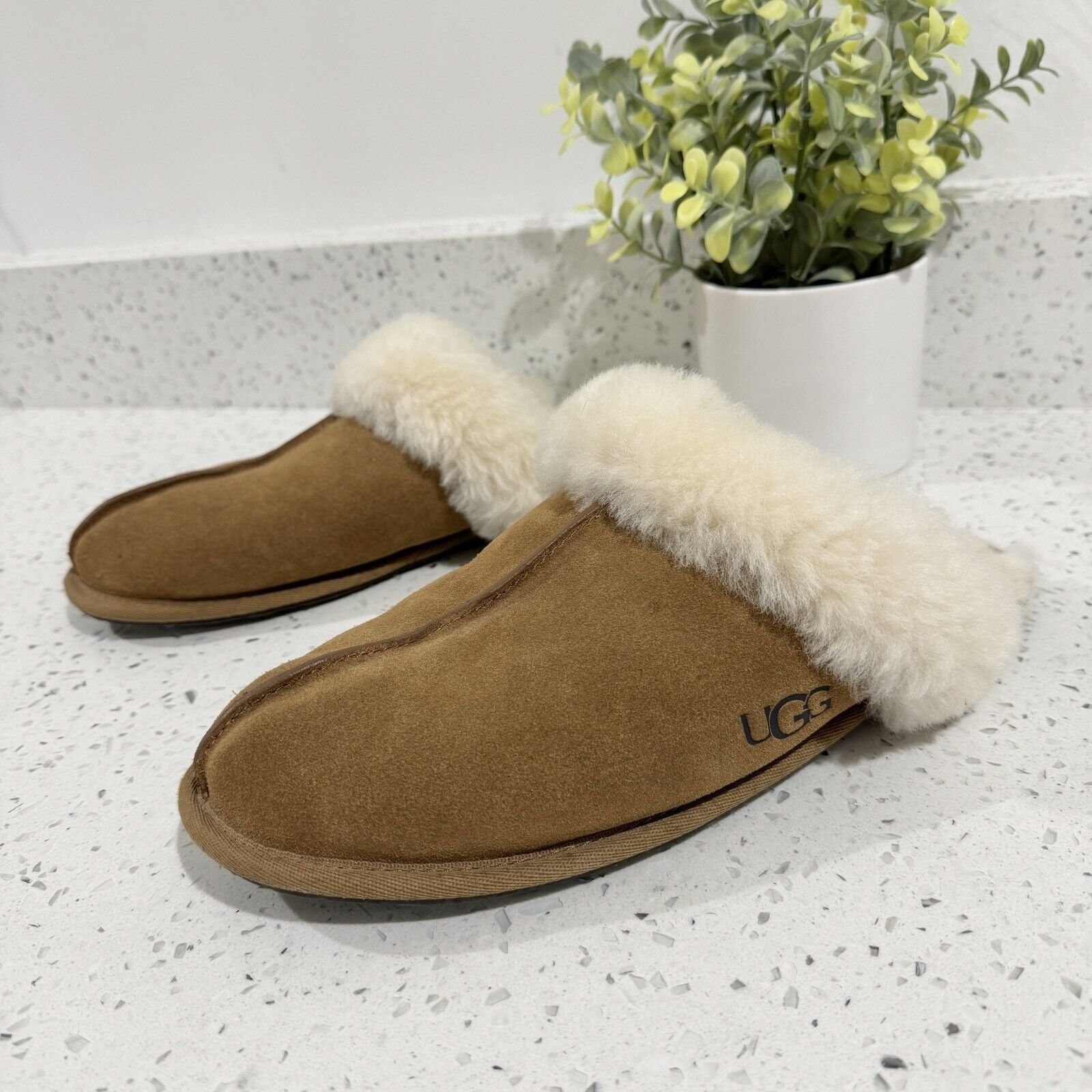 Ugg womens scuffette Slip On Slippers Size 10