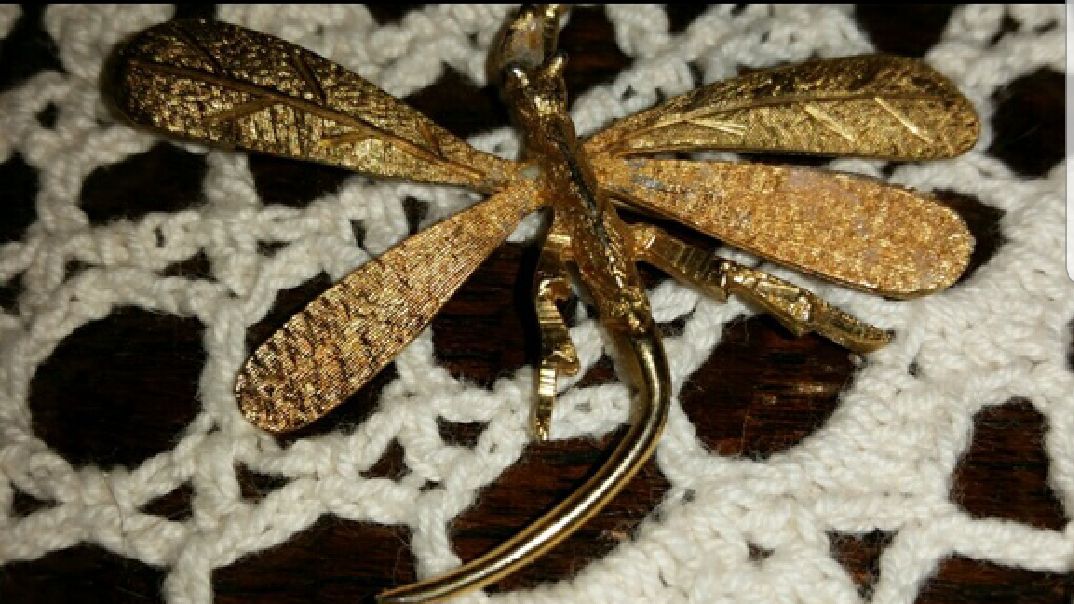 Antique Hobe Dragonfly Broach Pin