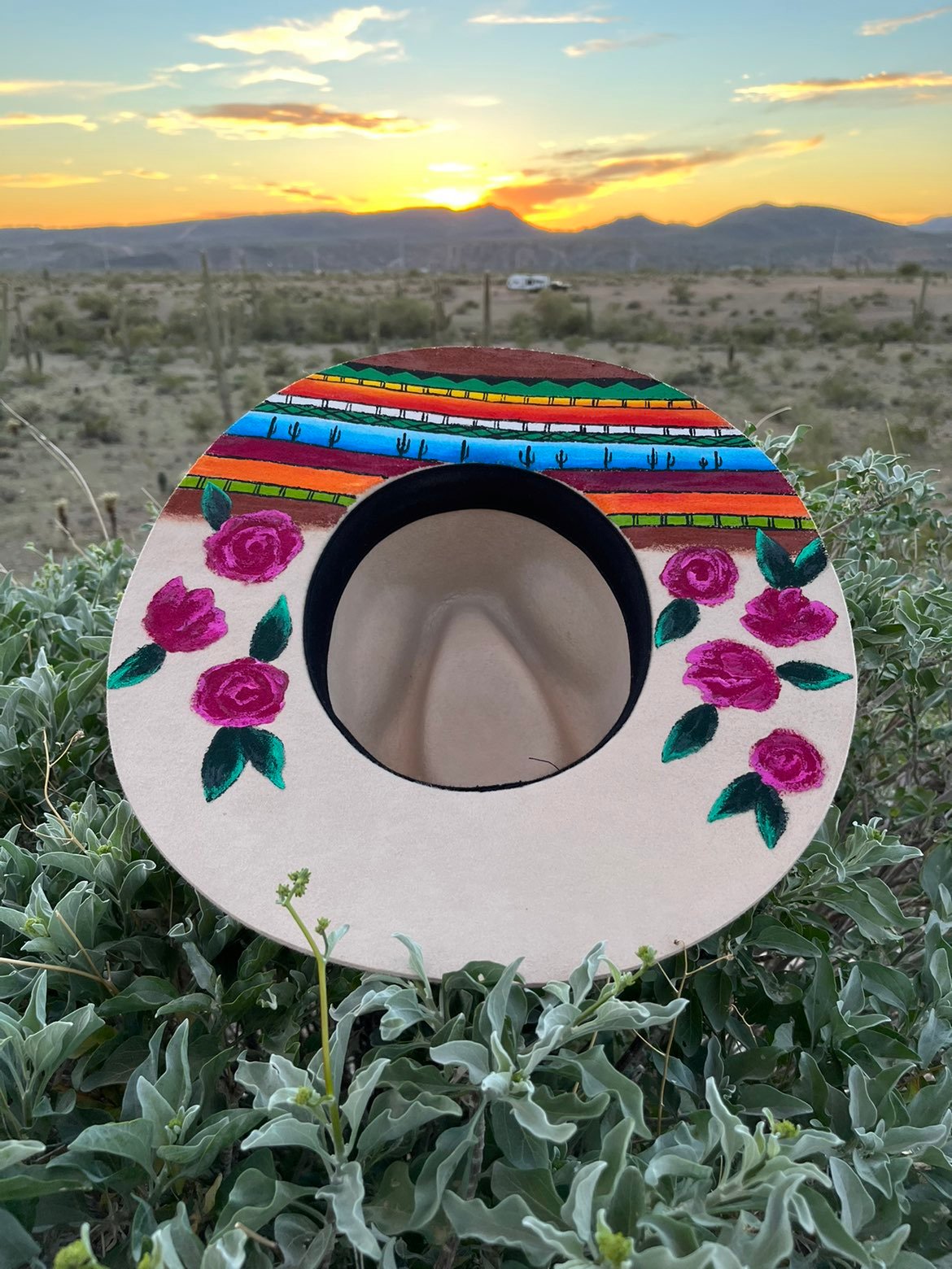 Colorful serape tribal wide brim fedora hat