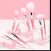 SL Miss Glam Pink Ombre Face & Eye Brush Set BNIP