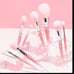 SL Miss Glam Pink Ombre Face & Eye Brush Set BNIP