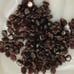 Vintage Antique GARNET Bead Nugget Loose Beads~Genuine Natural Polished Garnets
