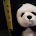 Vtg. Daphe'sLuckyPandaHeadCoverGolf