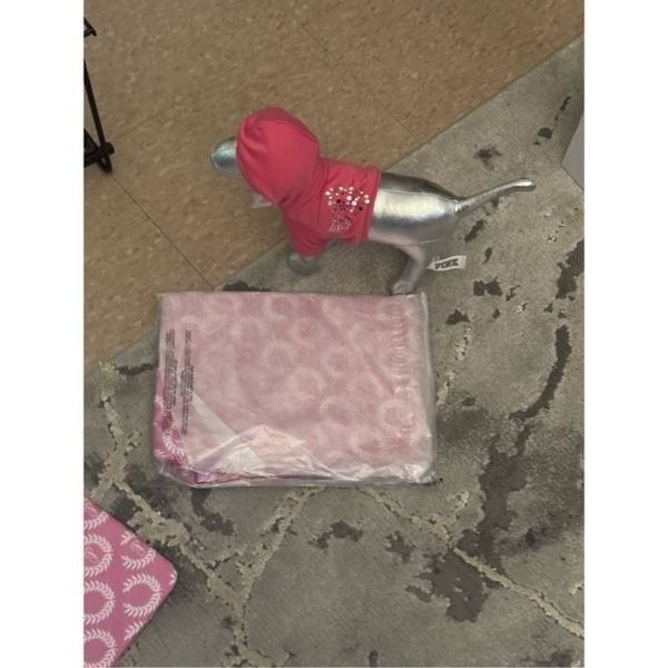 VS pink Small cosmetic bag pouch & matching silver bling hoodie mini dog bundle