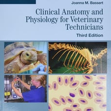anatomy and physiology