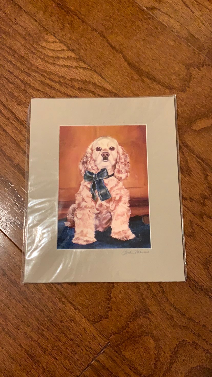 Cocker Spaniel art print