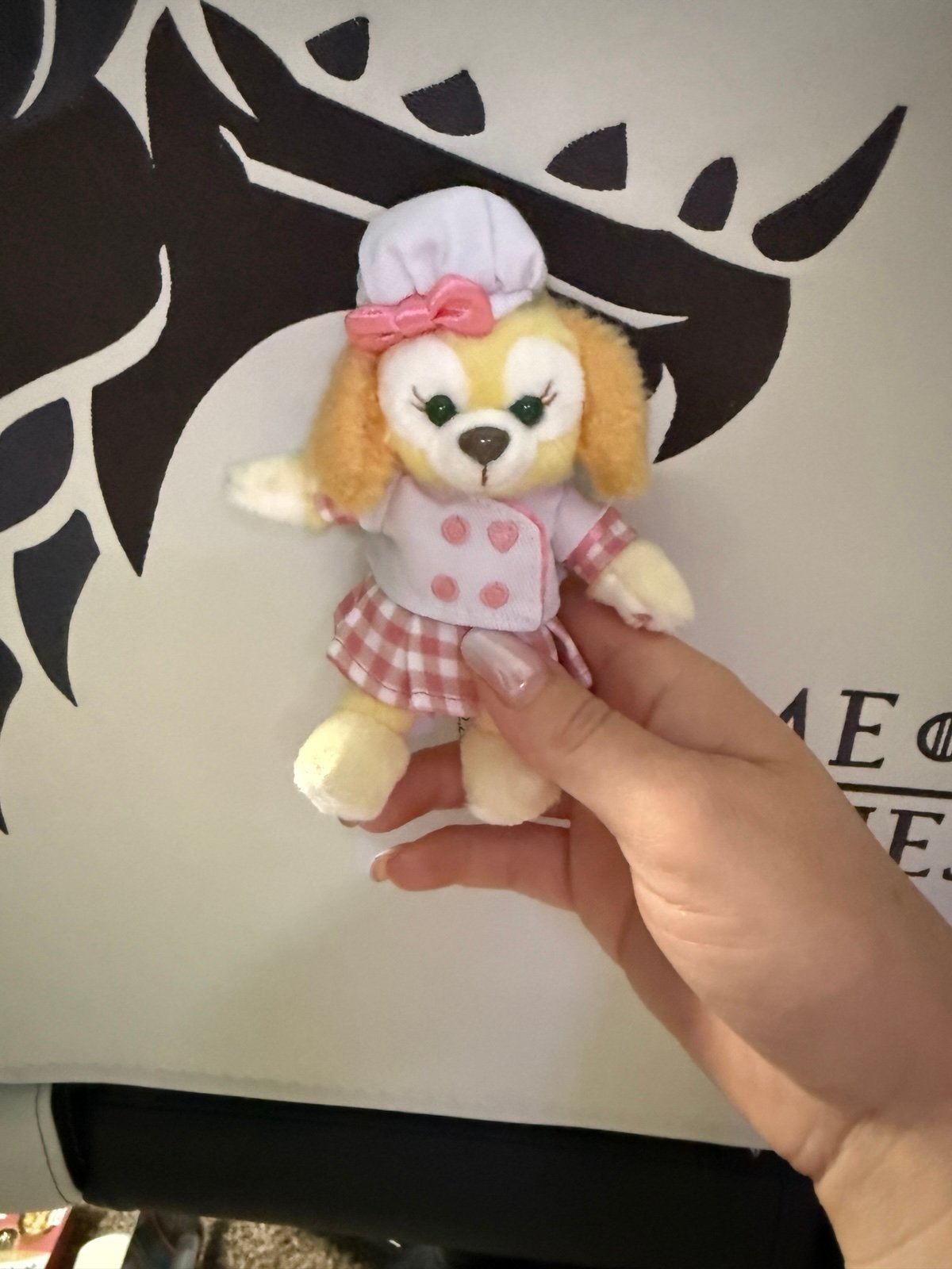Tokyo Disneyland Ann keychain