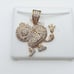 14K Gold Plated Cubic Zircon Pendant, EVBRS399
