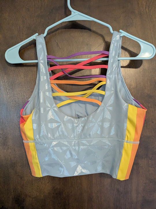 Crowned Athletics Epcot Sports Bra