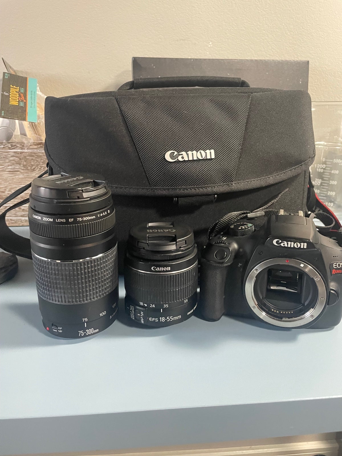 Canon EOS Rebel T6 DSLR Camera with EF-S 18-55mm f/3.5-5.6 IS II Lens in Black
