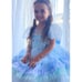 Bluebell Luxe Princess Birthday Party Dress Costume
