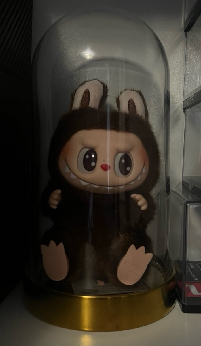 HAS SECRET LABUBU
