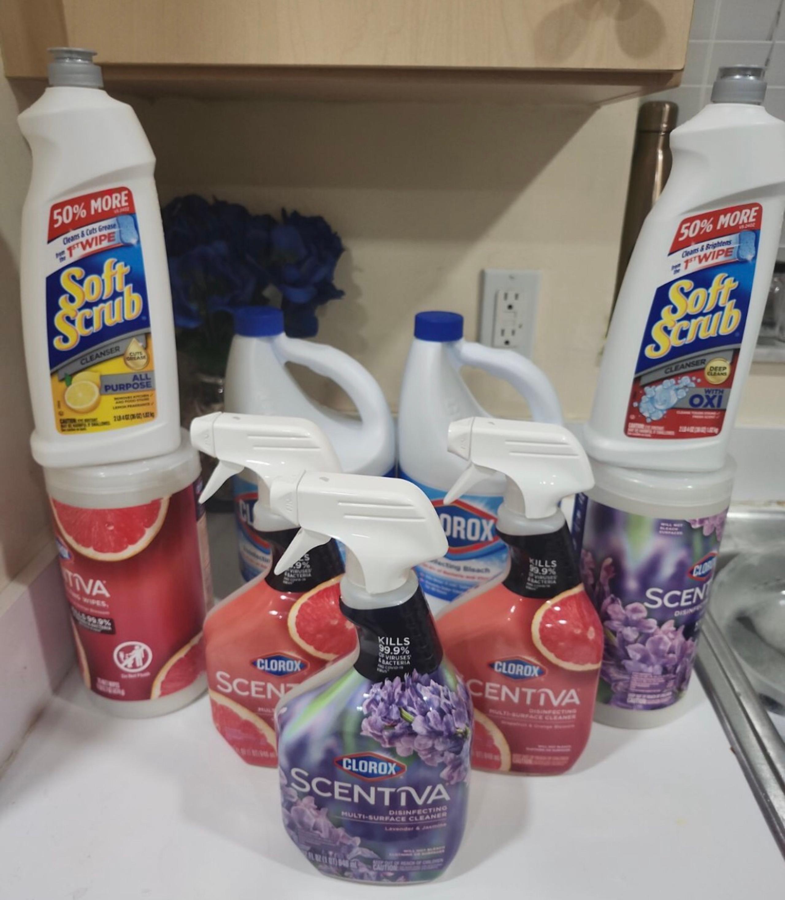 Bundle laundry Clorox house hold cleaning