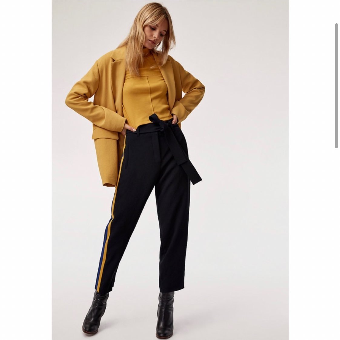 Wilfred Aritzia Tie-Front Pants sz 12