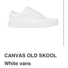 Vans Authentic Canvas Skate Shoes