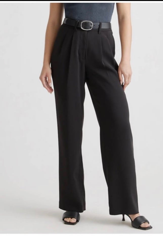 Quince Stretch Crepe Pleated Wide Leg Pant black M