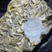 Aquamarine and Muscovite