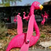 12 Pcs Twirling Wings Pink Flamingo Yard Decorations Small - Flamingo Yard