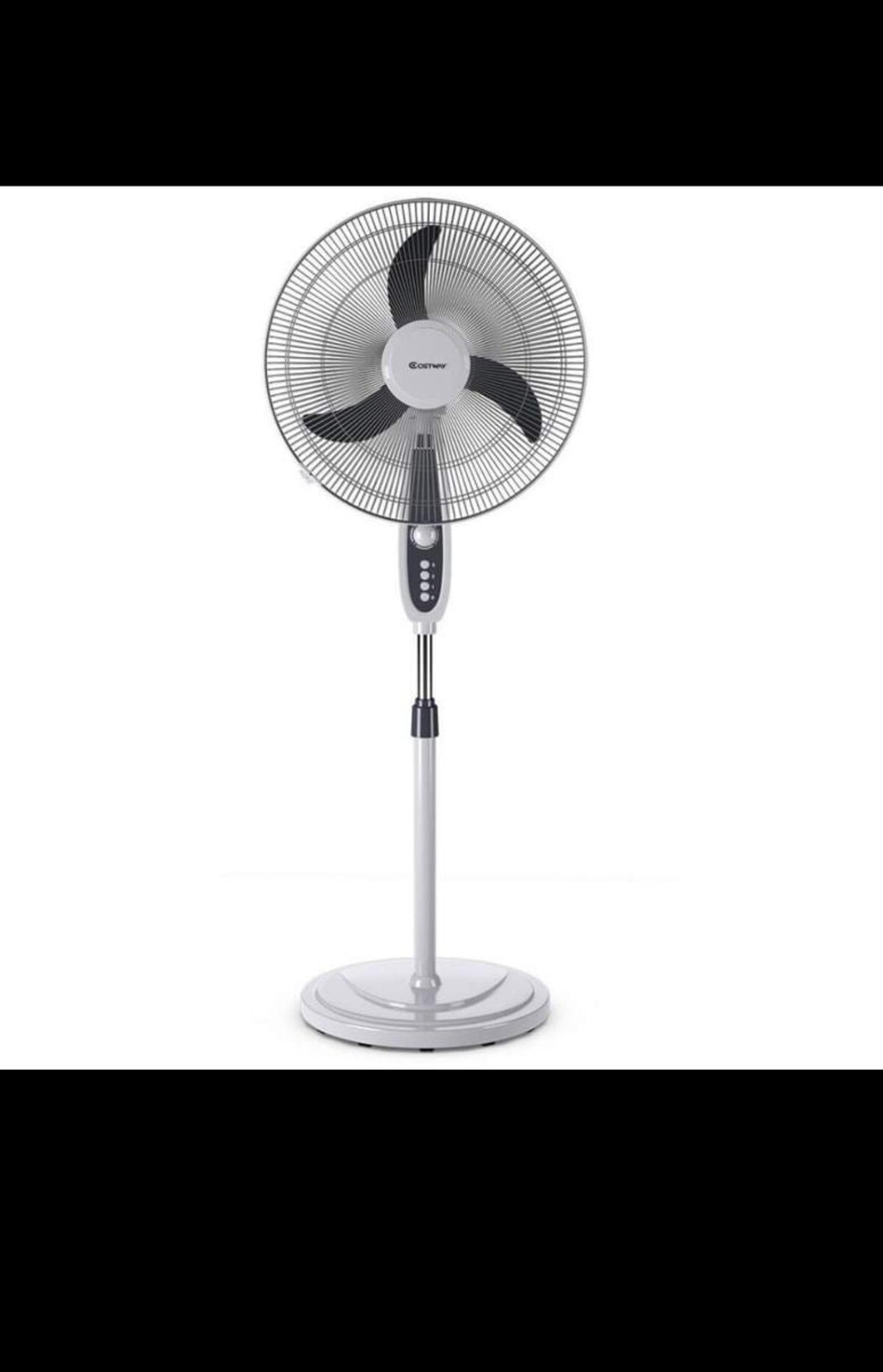 Pedestal Fan
