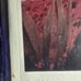 Zoe kravitz asap Rocky complex magazine rap