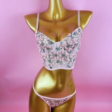 Embroidered Mesh Underwire Lingerie Set