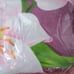 3pc queen size pink floral duvet cover