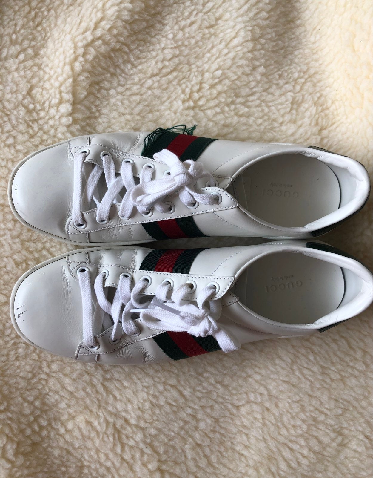 Gucci Ace sneaker