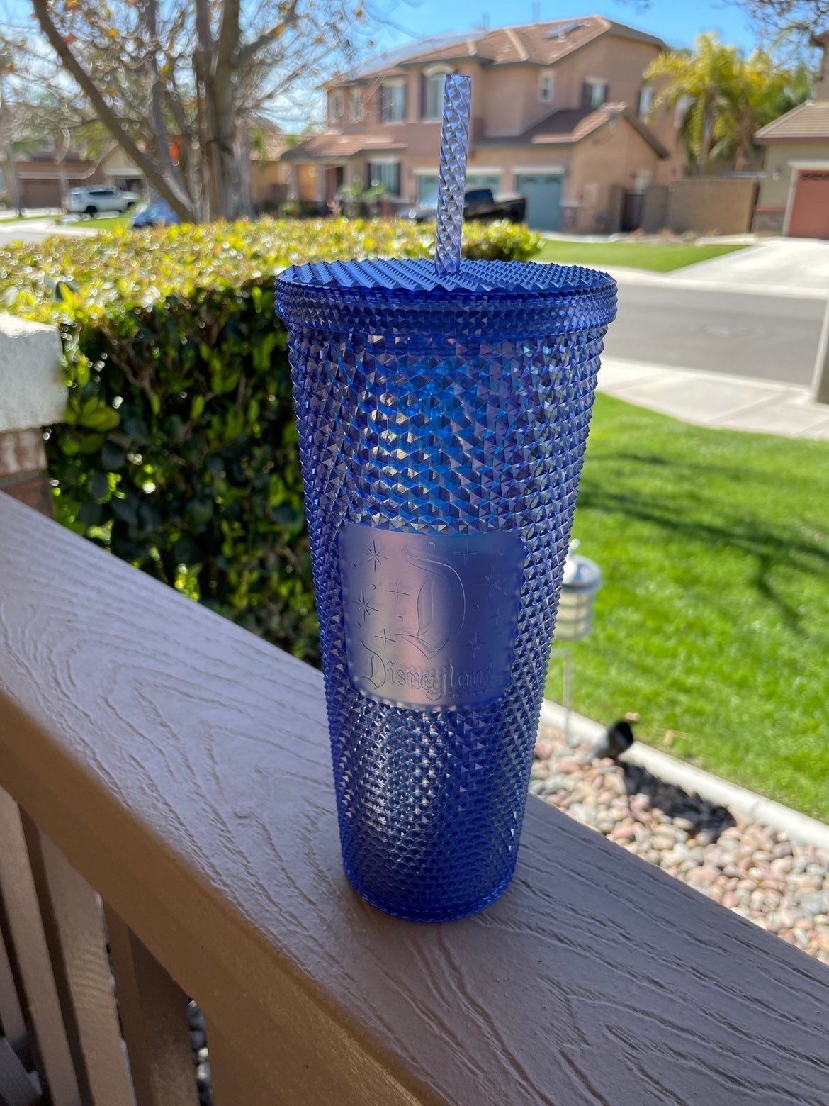 Disneyland Starbucks 16oz Logo Purple/Blue Tumbler