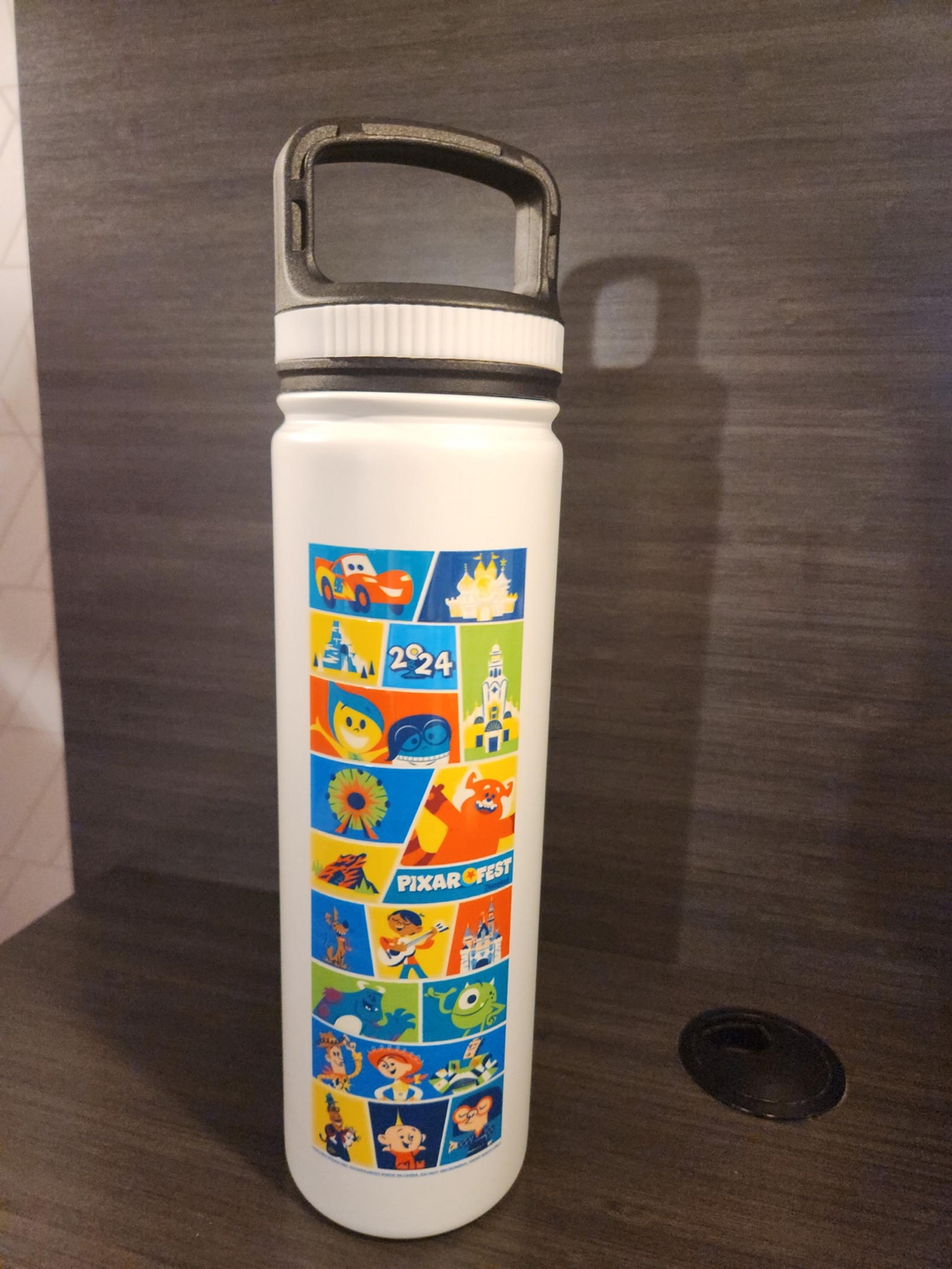 Disney Parks Disneyland Pixar Fest 2024 Stainless Steel Tumbler