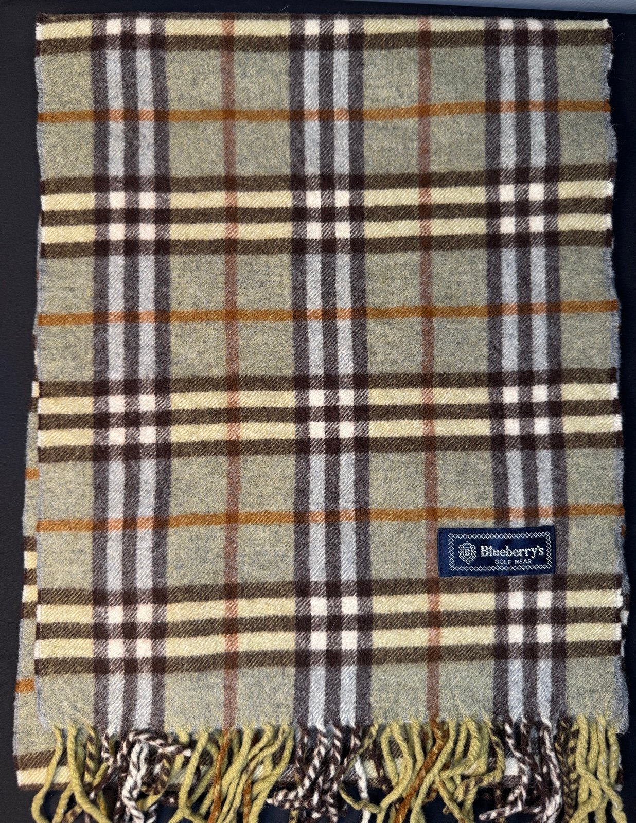 Blueberry Cashmere & Wool Blend Green Multi Colored Scarf