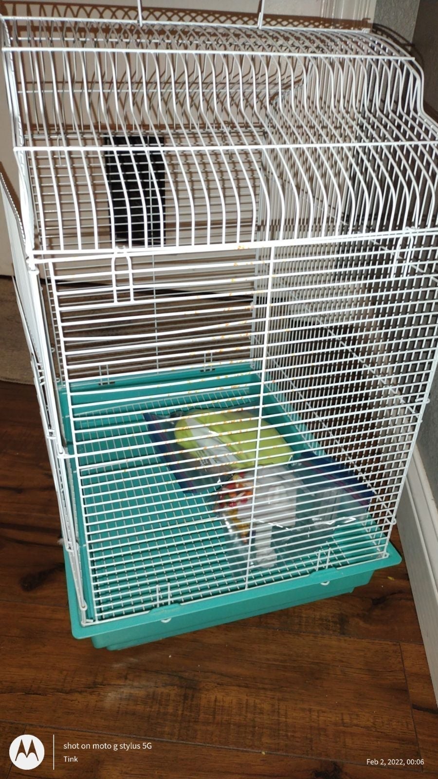 bird cage