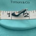 Tiffany & Co enamel shoe charm