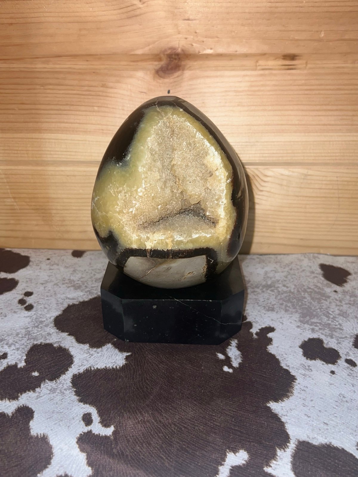 Septarian Dragon Egg with Black Onyx Stand