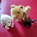 American girl Julie pets