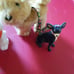 American girl Julie pets