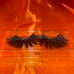 Cruelty free eyelashes 100pcs