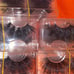 Cruelty free eyelashes 100pcs