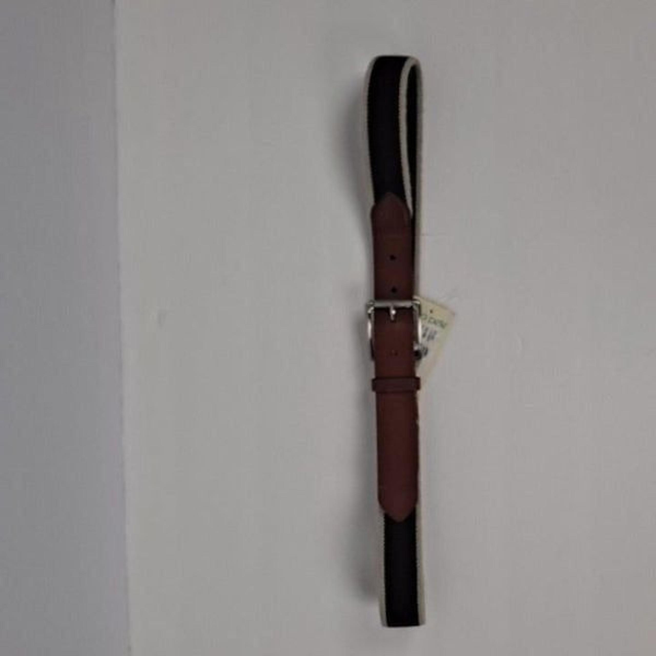 Gap Mens webbed belt NWOT