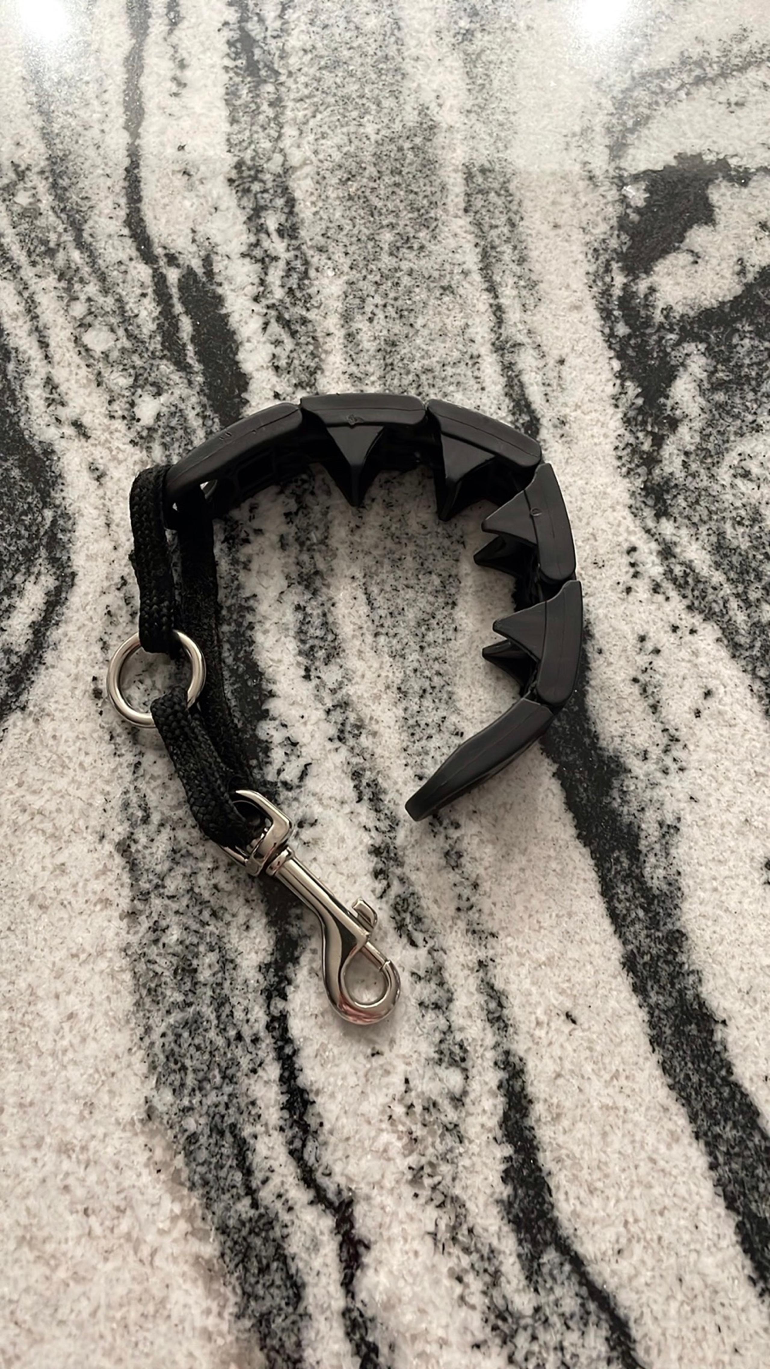 Dog’s training collar with prongs by Triple Crown