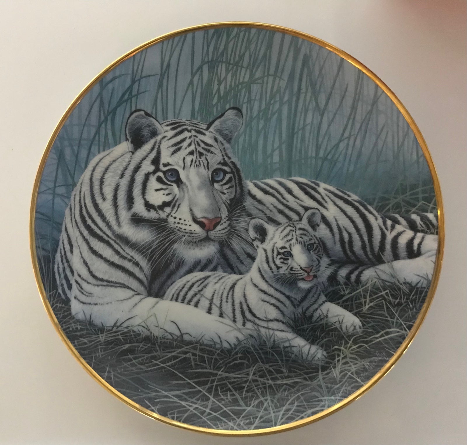 Plate - 6 piece set
