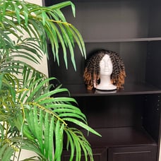 Black and Brown Ombré Wig