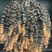 Black and Brown Ombré Wig