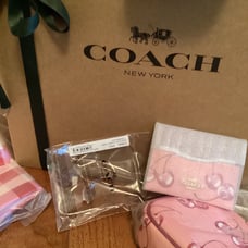 ❤️❤️ Coach cherry Slim Id Cardholder With Cherry Print