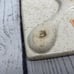 Vintage Evangel Pottery Trivet New Mexico Stoneware Mid Century Modern Farmhouse