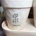 Rae Dunn Rosemary Parsley Thyme herb planters